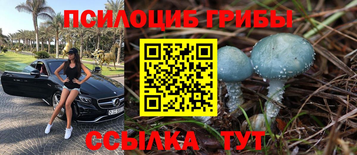 Галлюциногенные грибы Psilocybe  Вход с VPN  Минусинск  Псилоцибиновые грибы Cubensis 